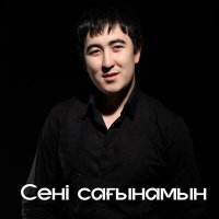 Постер песни Дархан Дүйсенов - Сені сағынамын