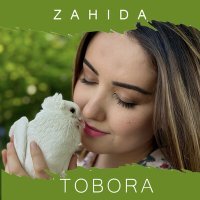 Постер песни Zahida - Tobora