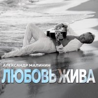 Постер песни Александр Малинин - Жираф