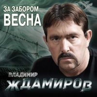 Постер песни Владимир Ждамиров - Где же воля