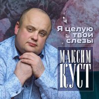 Постер песни Максим Куст - Падал белый снег