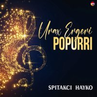 Постер песни Spitakci Hayko - Ari Mi Gna