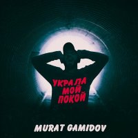 Постер песни Murat Gamidov - Украла мой покой