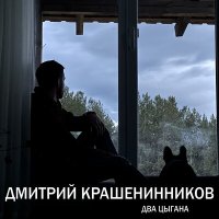 Постер песни Дмитрий Крашенинников - Стая