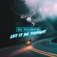 Постер песни DJ Piligrim - Let It Be Tonight