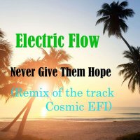 Постер песни Electric Flow - Never Give Them Hope (Remix of the track Cosmic EFI)