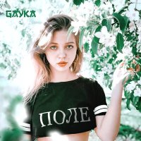 Постер песни Gayka - Поле