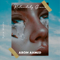 Постер песни Aron Ahmed - Melancholy Groove