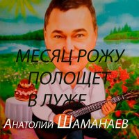 Постер песни Анатолий Шаманаев - Серебрится река