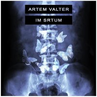 Постер песни Artem Valter - Im Srtum