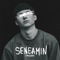 Постер песни SENEAMIN - Гянджа