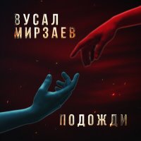 Постер песни Вусал Мирзаев - Подожди