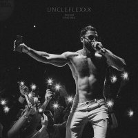 Постер песни UncleFlexxx - Висим красиво