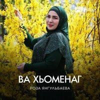 Постер песни Роза Янгульбаева - Ва хьоменаг