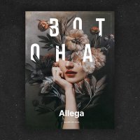 Постер песни Allega - Вот она