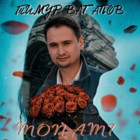 Постер песни Тимур Вагапов - Mon Ami