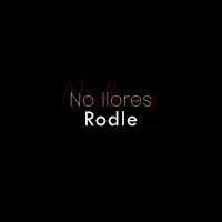 Постер песни Rodle - No llores