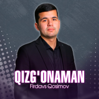 Постер песни Firdavs Qosimov - Qizg'onaman