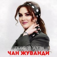 Постер песни Джамиля Залова - Къуруш хуьр