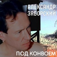 Постер песни Александр Заборский - Новосибирские улицы