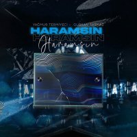 Постер песни Yağmur Termiyeci, Gürkan Şaşmaz - Haramsın (Remix)