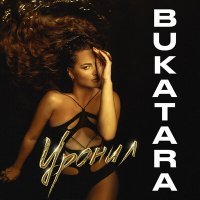 Постер песни Bukatara - Уронил
