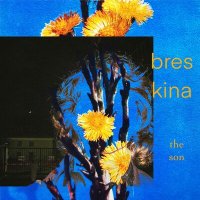 Постер песни breskina - the son