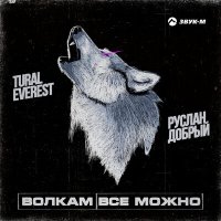 Постер песни Tural Everest, Руслан Добрый - Волкам всё можно