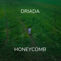 Постер песни DRIADA - Honeycomb
