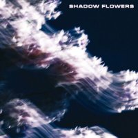 Постер песни c152 - Shadow Flowers
