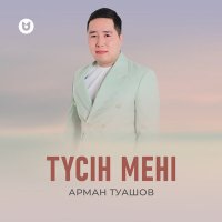 Постер песни Арман Туашов - Түсін мені