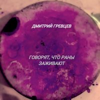 Постер песни Дмитрий Гревцев - Говорят, что раны заживают