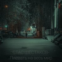 Постер песни Стас Шестаков - Плевать на весь мир