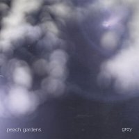 Постер песни Peach Gardens - Grey
