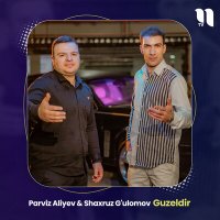 Постер песни Parviz Aliyev - Guzeldir