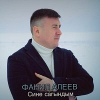 Постер песни Фанил Алеев - Сине сагындым