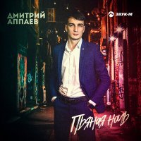 Постер песни Дмитрий Аппаев - Пьяная ночь