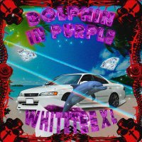 Постер песни WhiteTee XL - Dolphin In Purple