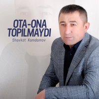 Постер песни Shavkat Xamdamov - Ota-ona topilmaydi