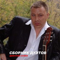Постер песни Дмитрий Сулей - Полярная сова