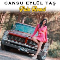 Постер песни Cansu Eylül Taş - Pala Remzi