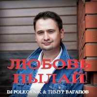 Постер песни Тимур Вагапов, DJ Polkovnik - Любовь пылай