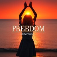 Постер песни Lipatov Sound - FREEDOM