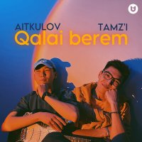 Постер песни TAMZ'I, AITKULOV - Qalai berem