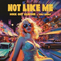 Постер песни Hoox, Noy Alooshe, Yuli Goday - Not Like Me