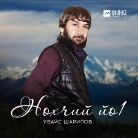 Постер песни Увайс Шарипов - Нохчий йоl