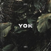 Постер песни Huso1 & Ionis - Yok