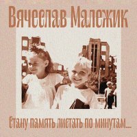 Постер песни Вячеслав Малежик - На Одере