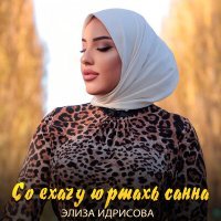 Постер песни Элиза Идрисова - Со ехачу юртахь санна