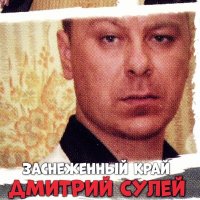 Постер песни Дмитрий Сулей - Хасан